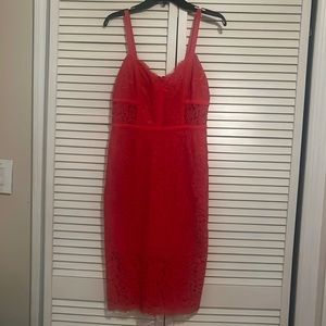 Express lace dress size 6
